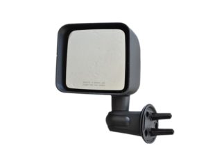 Best Door Mirror for model 2010 B