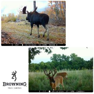 Browning Trail Camera Recon Force Elite HP5