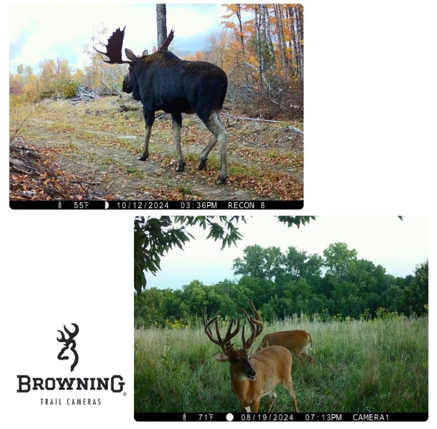 Browning Trail Camera Recon Force Elite HP5 - Image 2